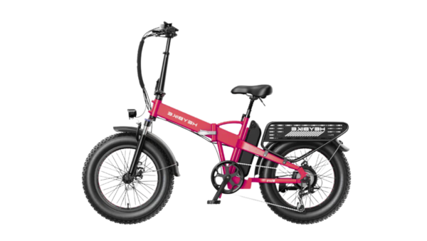 E-Bike Rental per person