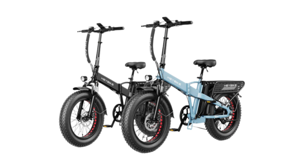 E-Bike Rental Family